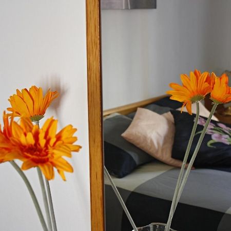 Apartament Sant Joan Sant Joan De Villatorrada Zimmer foto